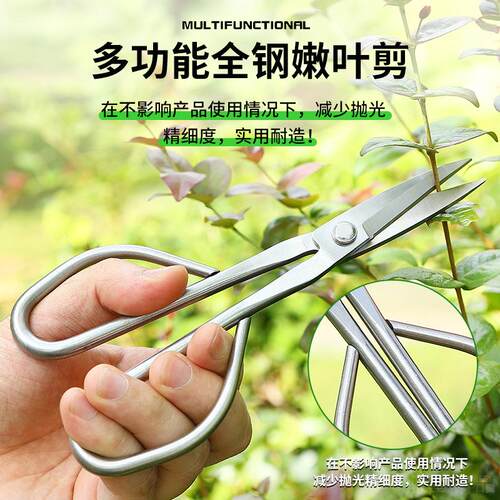 嫩叶修枝不锈钢加长园艺剪