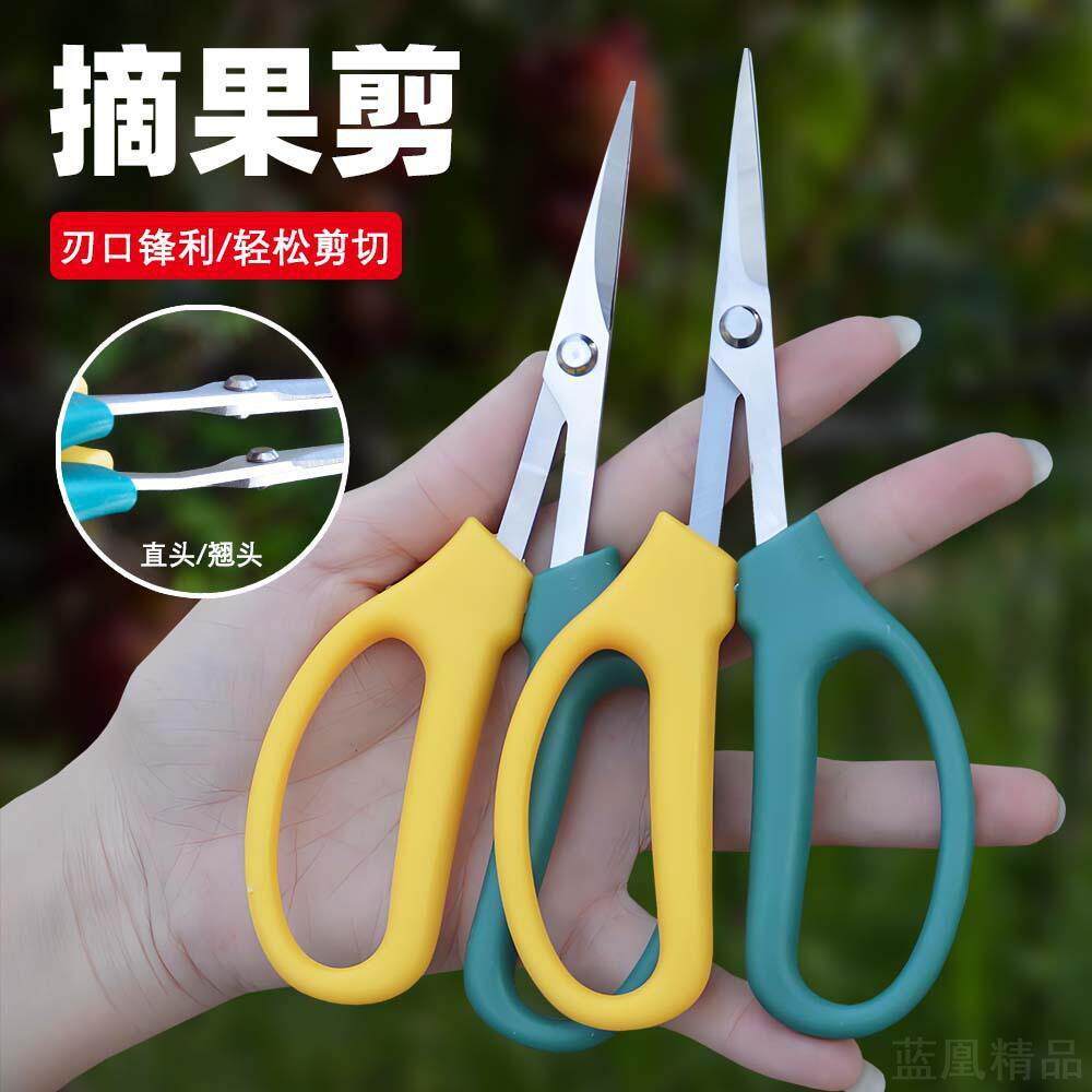 不锈钢翘头葡萄修剪园艺剪