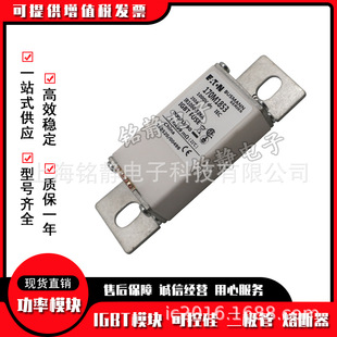 170M1860 170M1850 170M1853 170M1852 熔断器型号齐全 170M1851