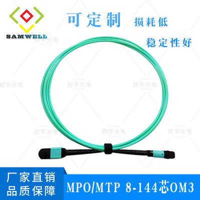MPO-MPO MTP-MTP光纤跳线8芯12芯24芯48芯万兆OM3 OM4长度
