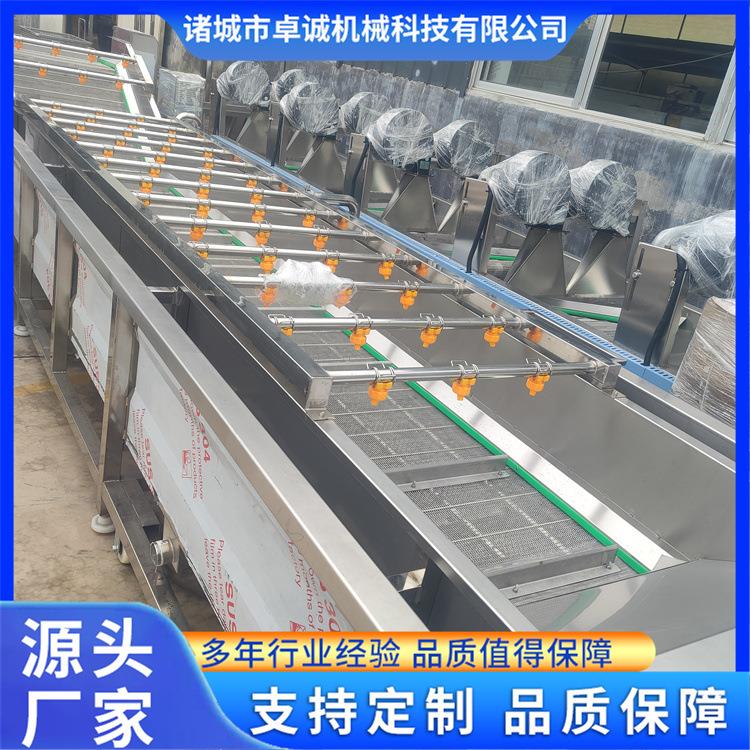果蔬气泡清洗机西红柿红薯土豆全自动喷淋式气泡清洗机