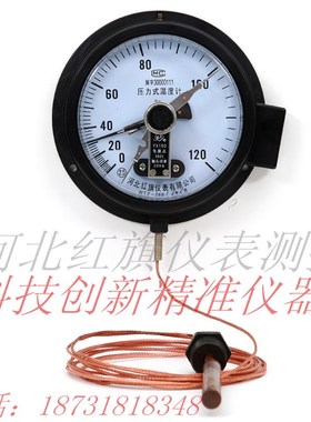红旗WTZ288电接点压力式温度计包邮远传测油温V变压器用温度表