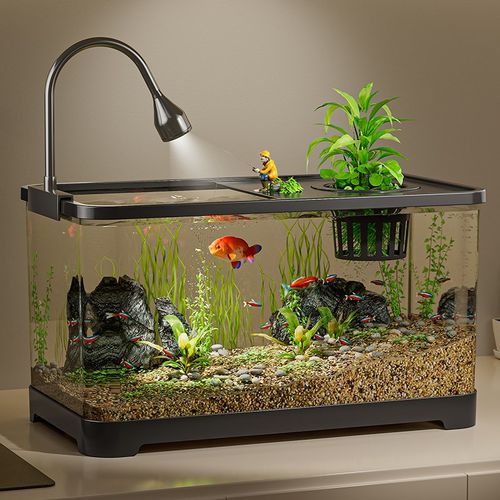 鱼缸生态桌面金i鱼缸塑料透明家用小型客厅乌龟缸造景过滤免换水