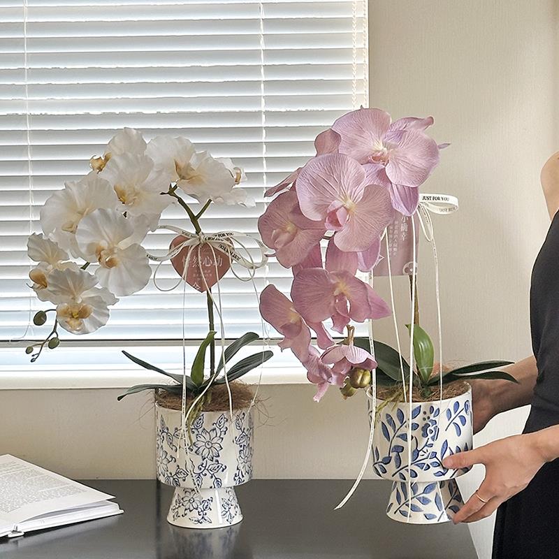 新中式蝴蝶兰仿真花假花青花瓷陶瓷花瓶客厅摆件装饰品摆设新年