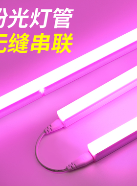 粉色灯管彩光led220v粉红霓虹浪漫房间主卧情调氛围长条壁灯棒t5