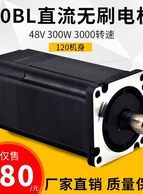 热卖厂家直流无刷电机60BLF120 功率300W 24V或48V3000转可正反转