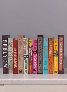 欧式复古风假书摆件英文仿真书装饰书柜书架摆设拍照道具书壳盒子