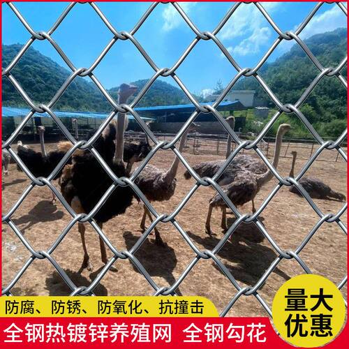 3YV54TF1热镀锌铁丝网围栏网护栏网养鸡鸭勾花网养殖牛羊圈地圈山