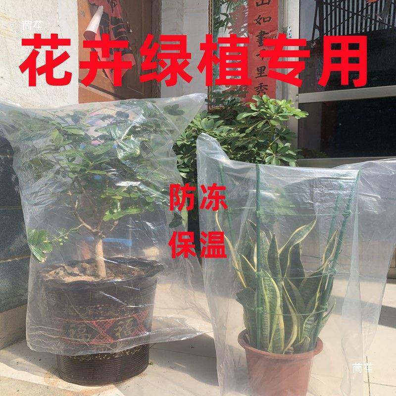 铁树树香蕉菠萝蜜金桔树罩塑料膜套袋防寒罩防冻苗花盆栽保护