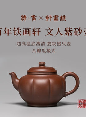 稀雀百年品牌铁画轩出品四号表四号井底槽清260cc筋纹掇只紫砂壶