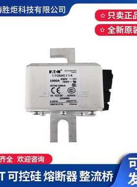 170M6110/6111/6112/6113/6114/6115/6116/6117/6118/6119熔断器