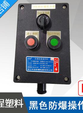 LBZ58A21防爆防腐操作柱2按钮1开关黑色防爆操作柱防腐WF2IP65