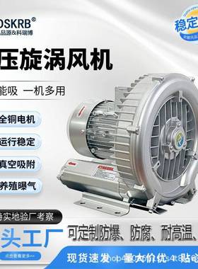 高压风机2HB210-AH0.4KW0.7KW2HB230-AH单双段旋涡现货低噪