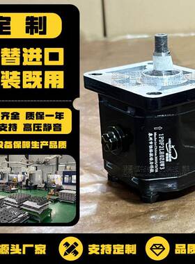 HENGYUHANG高压齿轮泵1PDF定制DUPLOMATIC齿轮泵Boden液压泵泵头