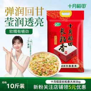 2025新米十月稻田长粒香大米5kg10斤装东北粳米香大米有嚼劲真空