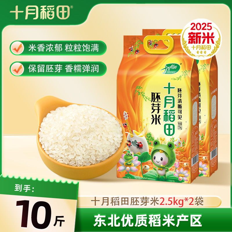 十月稻田胚芽米颗粒饱满保留胚芽