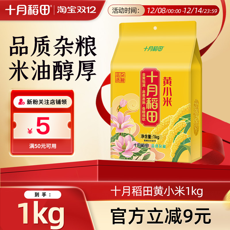 十月稻田黄小米1kg色泽金黄