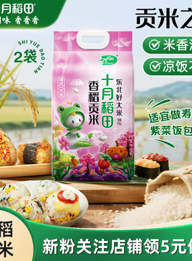十月稻田香稻贡米5kg10斤装东北米粒圆润软糯香甜粳米香米旗舰店
