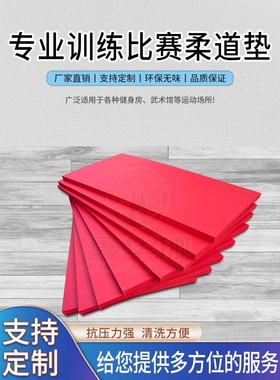 柔道垫专业比赛摔跤训练垫跆拳道巴西柔术JUDO柔道垫子