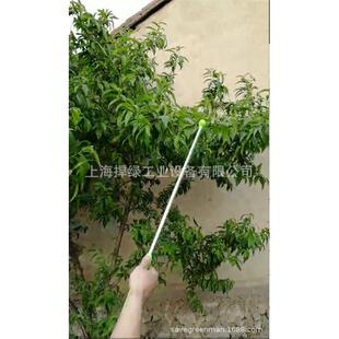 电动打尖果树打尖机萄打尖机冬枣葡萄树打尖果树打尖机猕猴桃