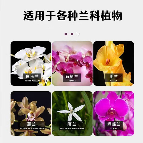 兰花肥料专用控释肥家用盆栽君子C兰蝴蝶兰通用颗粒缓释控释复合