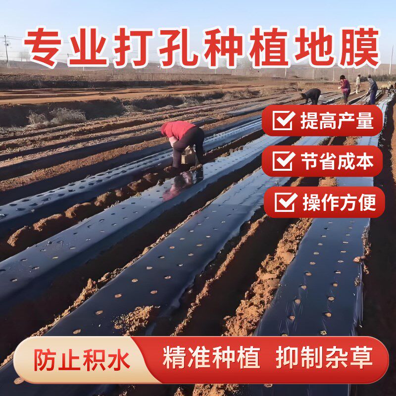 打孔黑色地膜除草保温保湿抗老化药材小葱辣椒朝天椒专.用开孔地