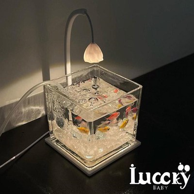 鱼缸小型客厅造景懒人玻璃摆件创意斗鱼专用桌面观V赏小夜灯养鱼