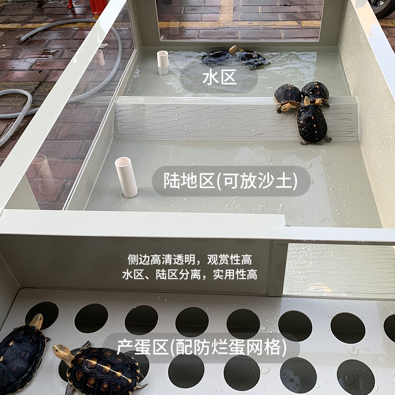 黄缘龟箱塑料乌龟缸安缘塑胶龟池透明亚克N力饲养箱带产蛋网格