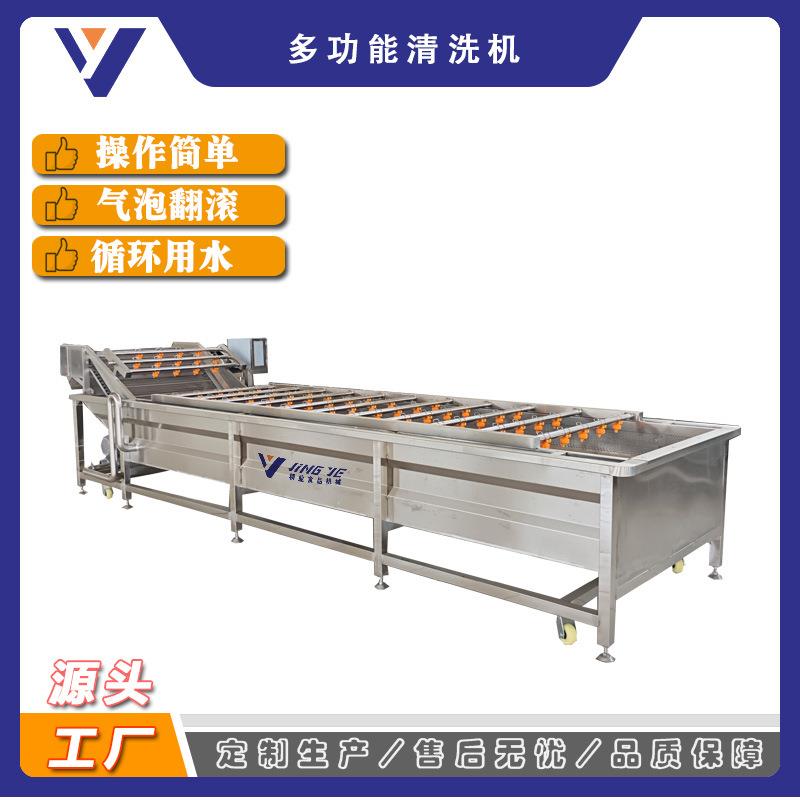 青梅清洗机水果加工清洗挑拣漂烫设备全自动柠檬清洗机
