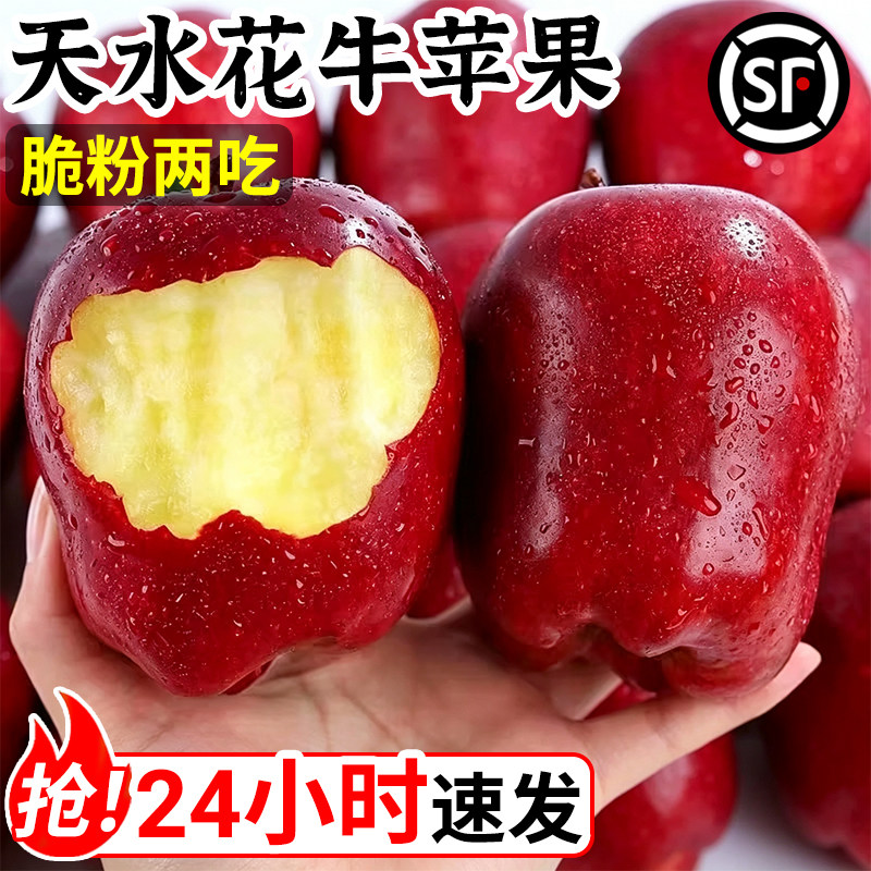 甘肃天水花牛苹果新鲜水果当季正宗平果红蛇粉面丑果孕妇大果包邮