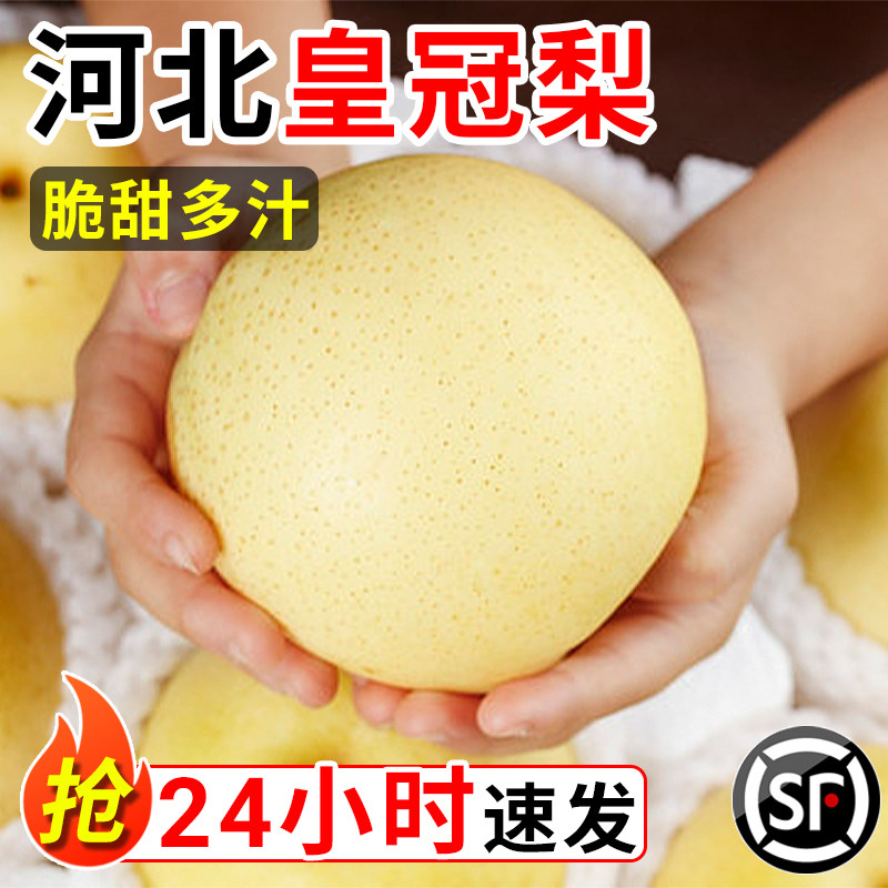 河北正宗皇冠梨10斤当季新鲜水果特产甜脆大梨子孕妇现摘整箱包邮