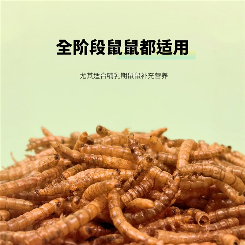 仓鼠粮食a饲料面包虫干芦丁鸡用品小仓鼠营养主粮零食刺猬鹦鹉鸟