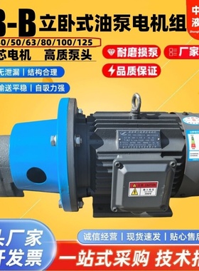 CB-B63/B40JZ CB-B125/80/100JZ立卧式齿轮油泵电机润滑2.2/3/4KW