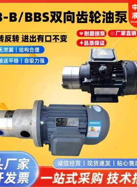BBS-6/10/4双向齿轮油泵LB-BB/16/20/25/32颗粒机泵电机370W/550W