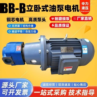B63 B50JZ B100 B40JZ 立卧摆线齿轮油泵电机组380V B125JZ