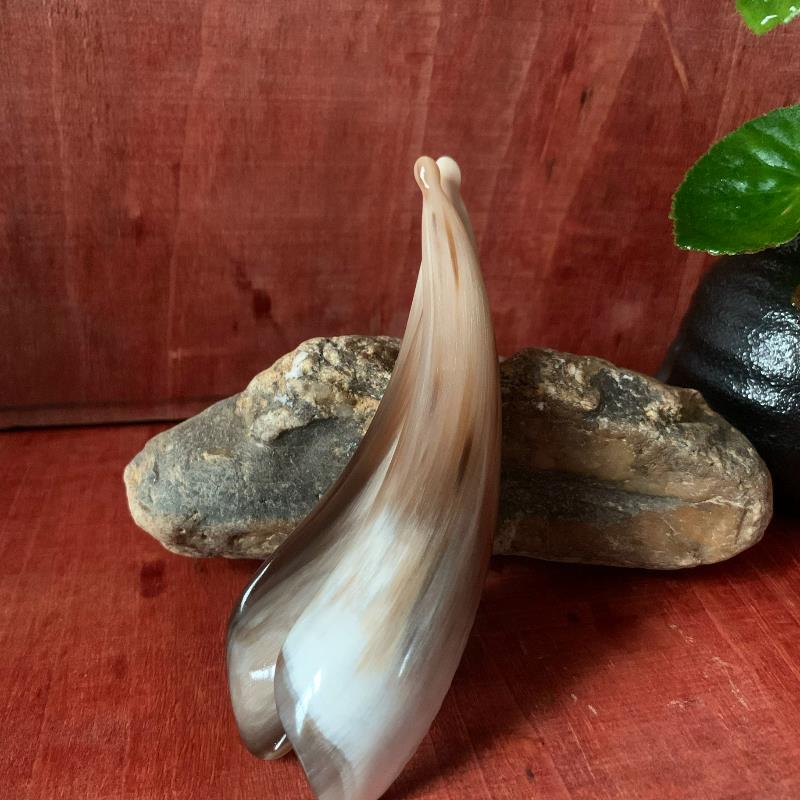 新款牛角带圆点半边随形眼刮面部按摩带圆点经络刮痧板牛角刮痧板