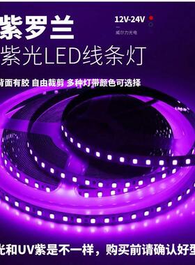 12V紫光COB灯带2835低压超亮led灯条24V自粘紫色紫罗兰深紫线条灯