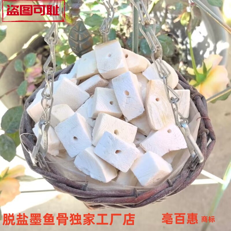 脱盐墨鱼骨切块打孔鹦鹉鸟类磨牙乌龟仓鼠珍珠鸟玉鸟啃咬用品