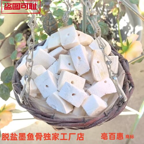 脱盐墨鱼骨切块打孔鹦鹉鸟类磨牙乌龟仓鼠珍珠鸟玉鸟啃咬用品