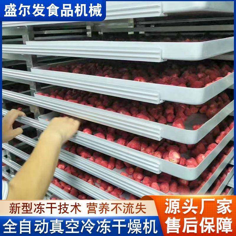 厂家供应商用果蔬脆片冻干设备全自动脆皮鸭香菇真空冻干机设备,清洗/食品/商业设备,其他食品加工设备,淘宝优惠券,粉丝福利购,淘宝优惠卷