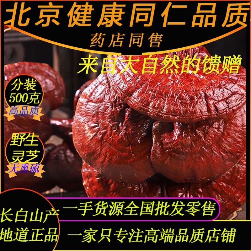 野生整株灵芝500克正品同仁品质药材金边灵芝泡茶泡酒炖汤干灵芝