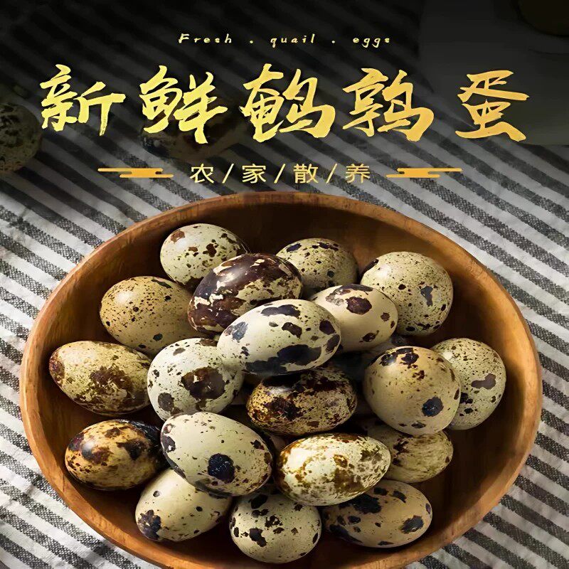安纯0蛋宝宝吃的鹌鹑蛋新鲜带壳无抗生素0激素孕妇鸟蛋滋补40枚