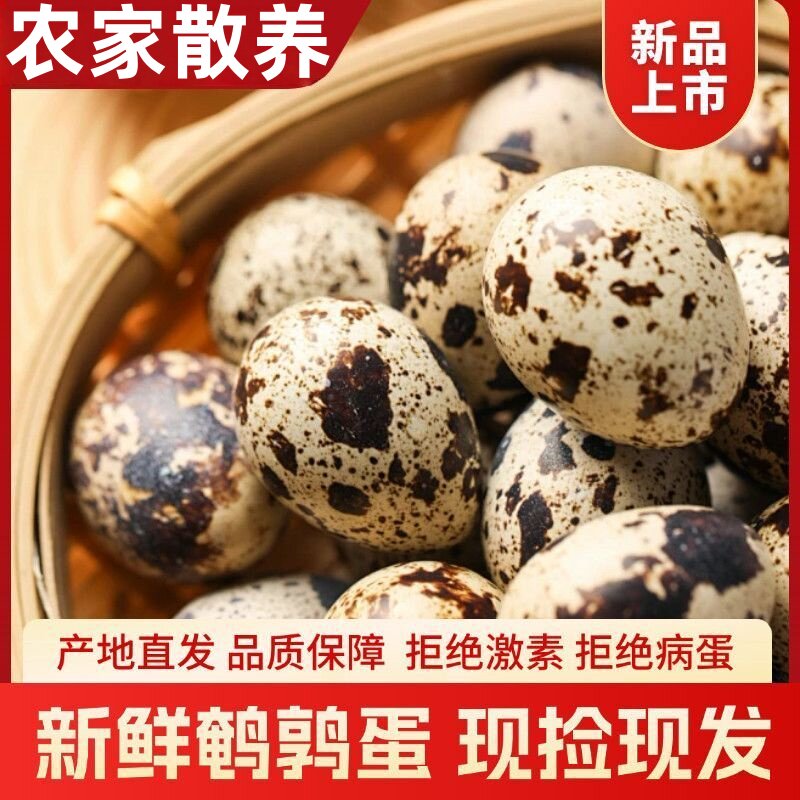 绿色杂粮营养生鲜鹌鹑蛋孕妇喂养宝宝辅食鸟蛋新鲜批发农家
