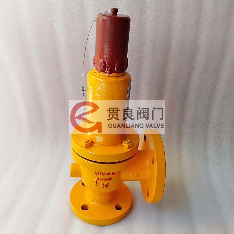 衬氟安全阀A42F46-16C耐腐蚀全衬氟安全阀A42PFADN40506580