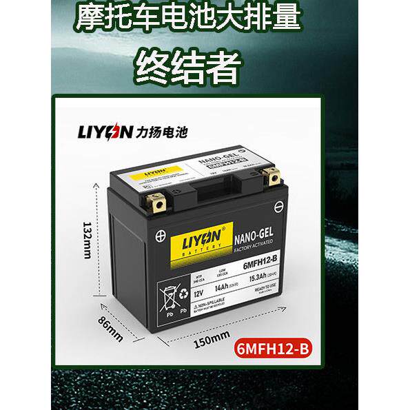 力扬摩托车电瓶12V通用踏板125蓄电池锂电池猛狮古越三轮电动弯梁