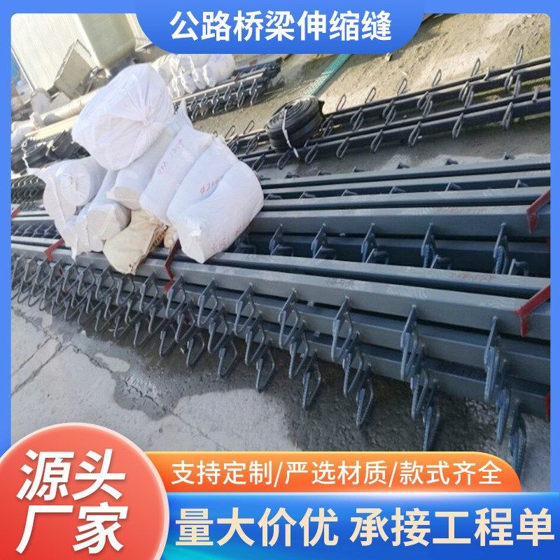 公路桥梁伸缩缝D型F型E型毛勒式伸缩缝 梳齿板伸缩缝模数式伸缩缝