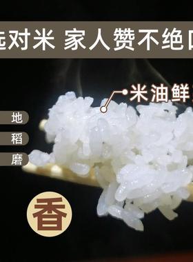 晚稻粳米5kg包邮东北延边大米宝宝煮粥胚芽米梗米新米珍珠米