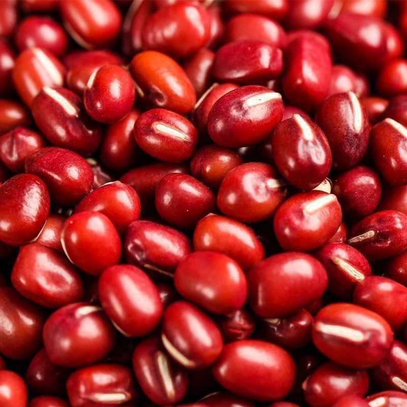 新货红小豆农家自产精品红豆蜜豆五谷杂粮红豆薏米非赤小豆