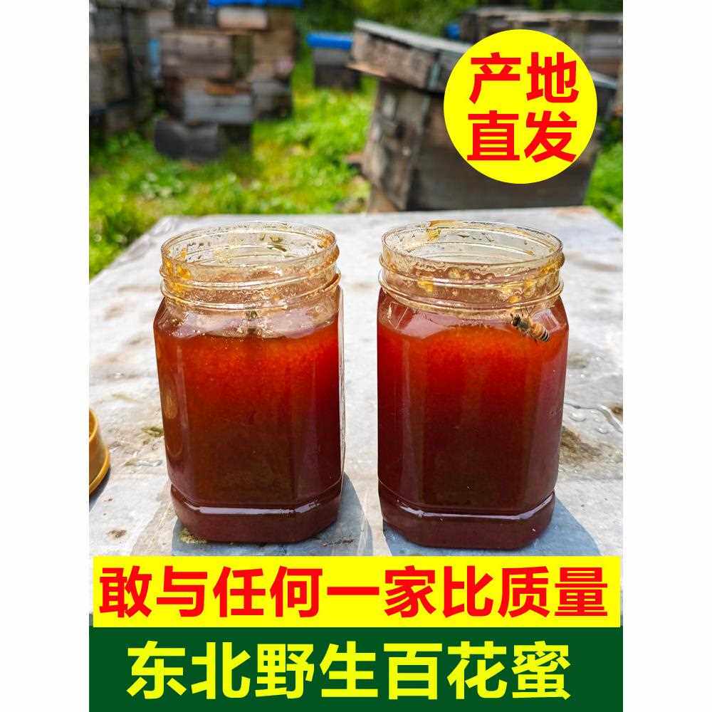 东北野生蜂蜜农家自产野花蜜野生百花蜜土蜂蜜一斤装纯正食用蜂蜜