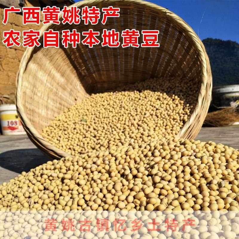 广西贺州农家黄豆自家种本地黄豆榨豆浆专用5斤